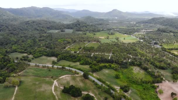 Drone Tiro Vista Aérea Paisaje Escénico Granja Agricultura Campo — Vídeo de stock