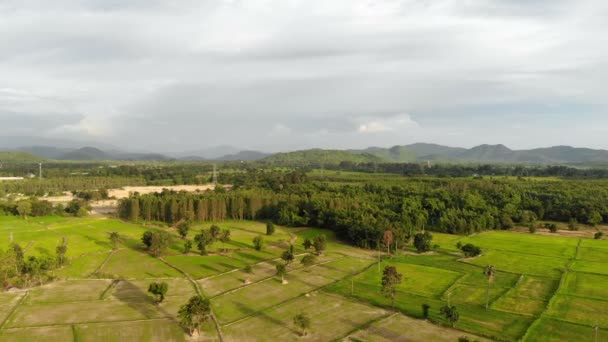 Drohne Schoss Luftaufnahme Malerische Landschaft Der Landwirtschaft Bauernhof Auf Dem — Stockvideo