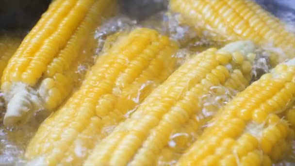 慢动作特写拍摄玉米在火锅中沸腾高维生素水果和蔬菜 — 图库视频影像