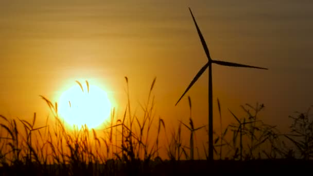 Silhouette Éolienne Sur Écologie Coucher Soleil Concept Énergie Pour Fabricant — Video