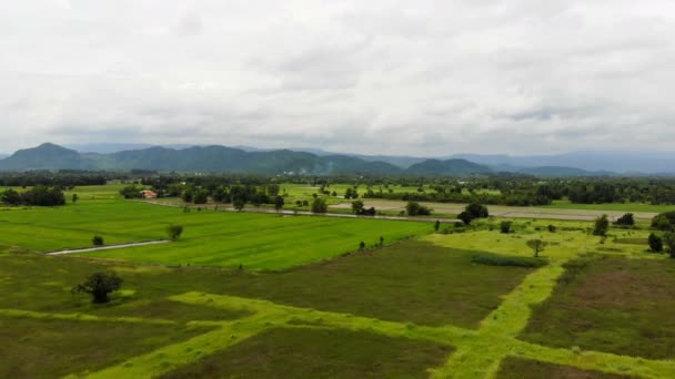 Drone Plano Vista Aérea Paisaje Escénico Granja Agrícola Campo — Vídeo de stock