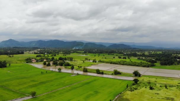 Drone Plano Vista Aérea Paisaje Escénico Granja Agrícola Campo — Vídeo de stock