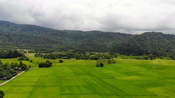 Drone Shot Vue Aérienne Paysage Pittoresque Agriculture Ferme Campagne — Video