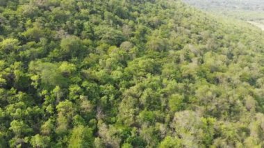 4K Drone kırsal bölgedeki tarım çiftliğinin hava manzaralı manzarasını çekti
