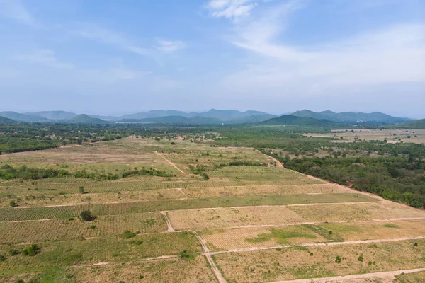 Drone shot vista aerea paesaggio panoramico della fattoria agricola agai — Foto Stock