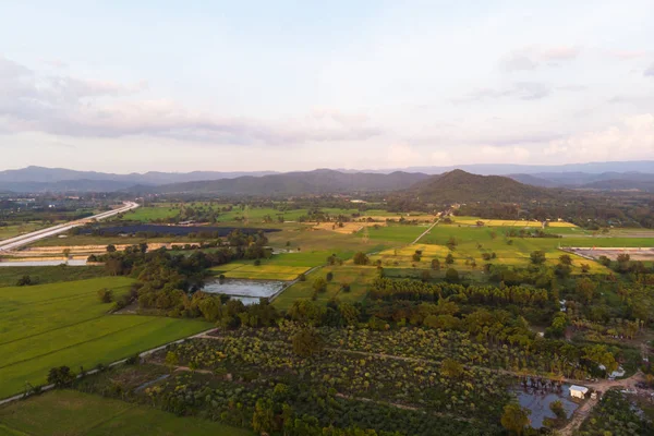 Drone shot Vista aérea paisaje escénico de la agricultura rural ric —  Fotos de Stock