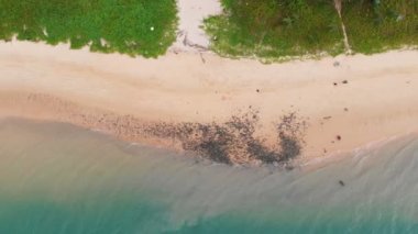 Drone kum plaj ve deniz manzara havadan görünümü vurdu