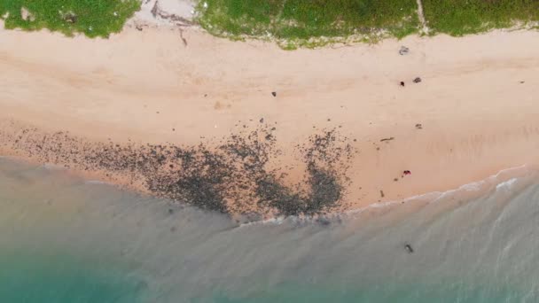 Drone Tiro Vista Aérea Paisagem Cênica Praia Areia Mar — Vídeo de Stock