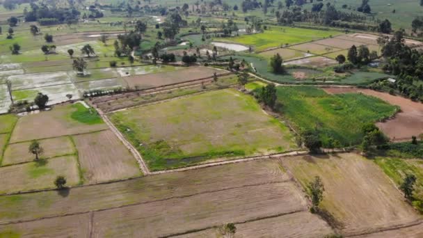 Drone Tiro Vista Aérea Paisaje Escénico Granja Agricultura Campo — Vídeos de Stock