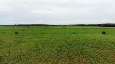 Drone kırsal tarım çiftliğinin doğal manzara havadan görünümü vurdu
