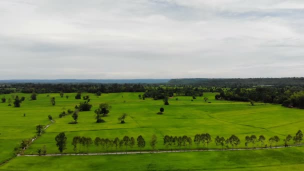 ドローンは 田舎で農業農場の風光明媚な風景を空中ビューを撮影 — ストック動画