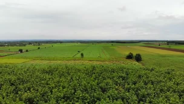 Drone Tiro Vista Aérea Paisaje Escénico Granja Agricultura Campo — Vídeo de stock