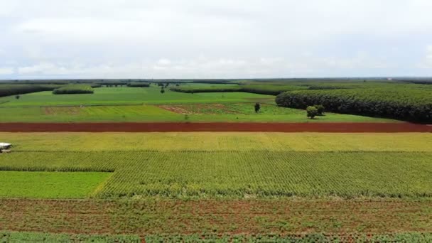 Drone Shot Luchtfoto Schilderachtig Landschap Van Agrarische Boerderij Het Platteland — Stockvideo