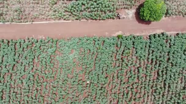 Drone shot vue aérienne paysage pittoresque de l'agriculture ferme à la campagne 