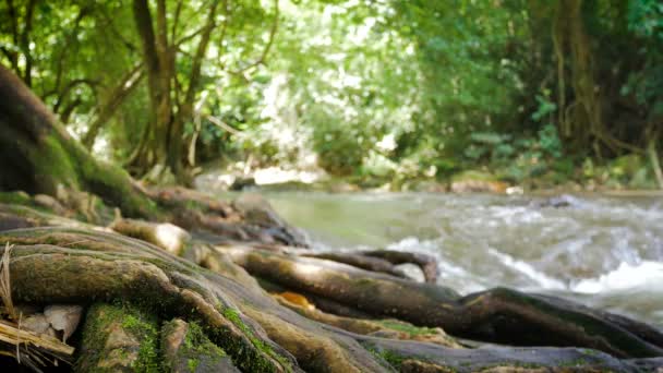 Schilderachtige Hoekjes Natuur Stromen Van Watervallen — Stockvideo