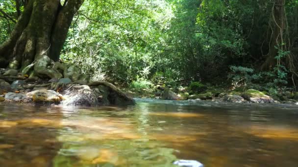 Paysages pittoresques nature ruisseaux de cascades  