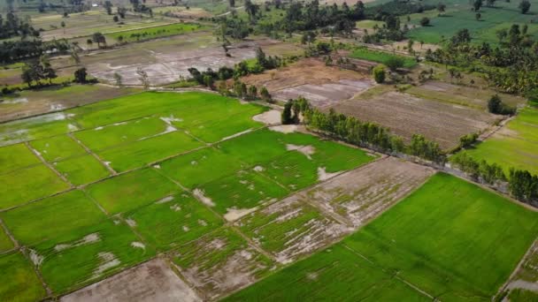 Drone Tiro Vista Aérea Paisaje Escénico Granja Agricultura Campo — Vídeos de Stock