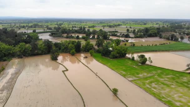 Drone Shot Flygfoto Naturskönt Landskap Jordbruk Gård Landsbygden — Stockvideo