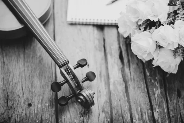 Orchestra da primo piano per violino strumentale con timbro vintage pr — Foto Stock