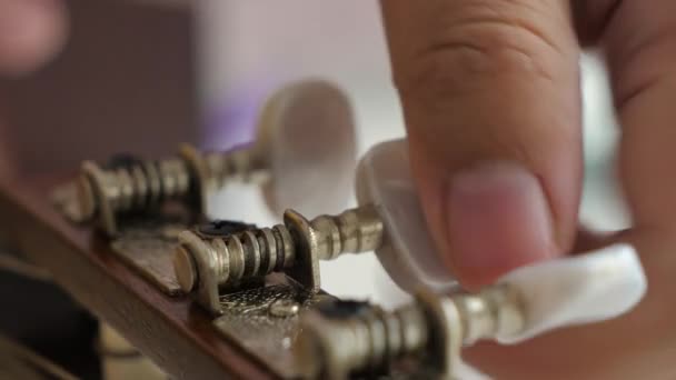 Närbild Händer Man Spinning Tuner Ratten Akustisk Klassisk Gitarr För — Stockvideo