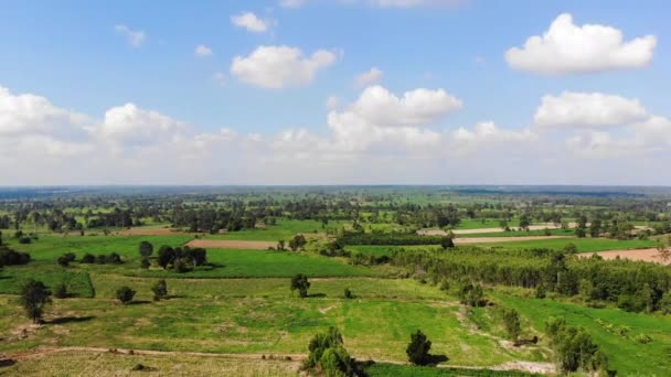 空中景观无人驾驶飞机拍摄风景秀丽的热带雨林 — 图库视频影像