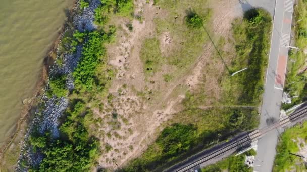 Luchtfoto Drone Schot Schilderachtig Landschap Tropisch Natuur Boom Bos Tegen — Stockvideo