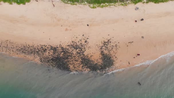 Drone Знімали Повітряний Вид Мальовничий Пейзаж Пляжу Річки — стокове відео