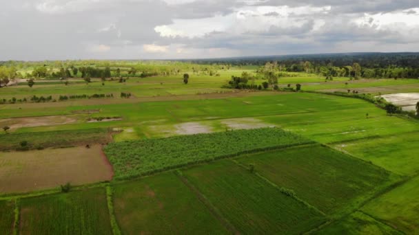 Дрони Знімали Панораму Краєвиду Сільської Ферми Тропічній Азії — стокове відео