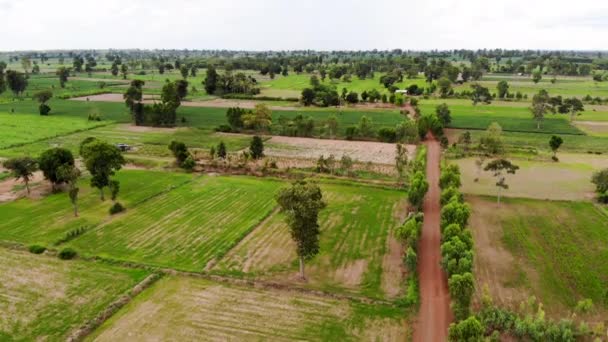 Drone Strzał Lotu Ptaka Malowniczy Krajobraz Gospodarstwa Rolnego Tropikalnej Azji — Wideo stockowe