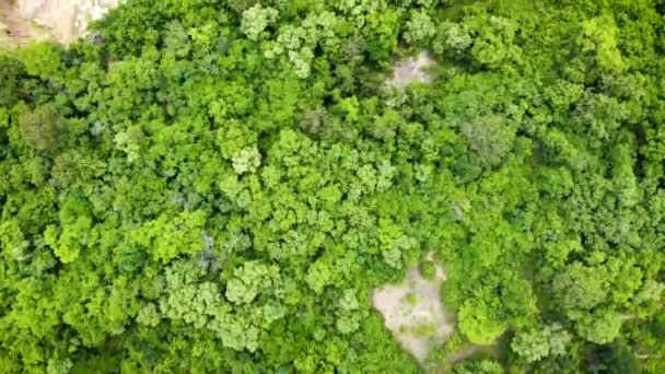 熱帯林と山の高い角度ビューの風景 トップビューのドローンは 田園地帯で木を通過飛んで — ストック動画