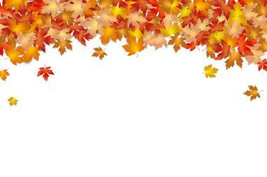 Sonbahar tasarım elementi, vektör illüstrasyonu için akçaağaç yaprağı kuru, beyaz bir arkaplana düşen sonbahar yaprağı