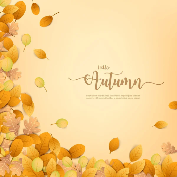 Autumn Backgorund Dry Leaf Falling Background Autumn Design Element Vector — Stock Vector