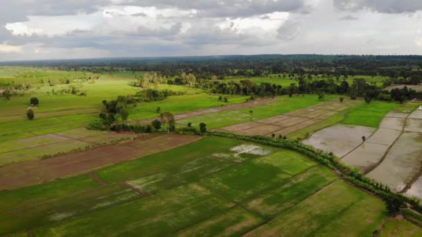 Drone Disparó Vista Aérea Paisaje Escénico Una Granja Agrícola Tropical — Vídeos de Stock
