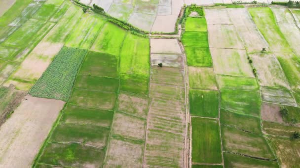 Vista Alto Ângulo Drone Shot Vista Aérea Paisagem Cênica Uma — Vídeo de Stock