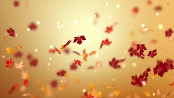 秋季概念的背景 落叶干枯 地面深度浅 效果模糊 — 图库视频影像