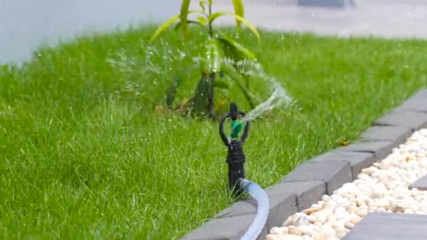 Zeitlupenregner Spritzt Das Wasser Auf Ein Frisches Rasenfeld — Stockvideo