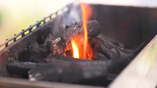 Gros Plan Mis Feu Grille Barbecue Par Charbon Bois Avec — Video