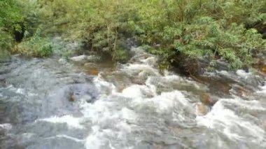 Şelalelerin doğa akıntılarının manzarası. 