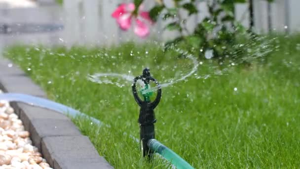 Sprinkler Spritzt Das Wasser Auf Eine Frische Rasenfläche — Stockvideo