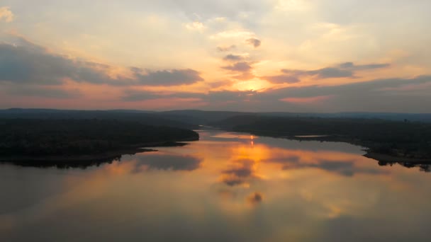 Drone Disparó Vista Aérea Paisaje Escénico Big River Naturaleza Madera — Vídeos de Stock