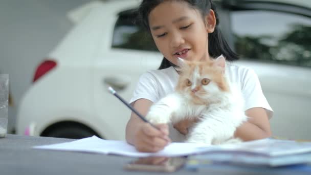 Μικρό Ασιατικό Κορίτσι Αγκαλιάζει Περσική Γάτα Επιλεκτική Εστίαση Ρηχό Βάθος — Αρχείο Βίντεο
