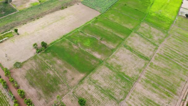 Vista Alto Ângulo Drone Shot Vista Aérea Paisagem Cênica Uma — Vídeo de Stock