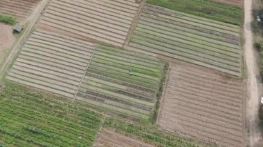 Kırsal bölgedeki tarım çiftliğinin manzaralı manzarası