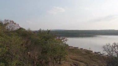 Kurak mevsimde büyük nehir ve ormanın hava manzaralı görüntüsü.