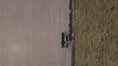 Traktörlerin ve kamyonların şeker kamışını şeker yapmak için çiftlikte topladıkları drone görüntüleri. Yanmadan çiftçilik yapmak