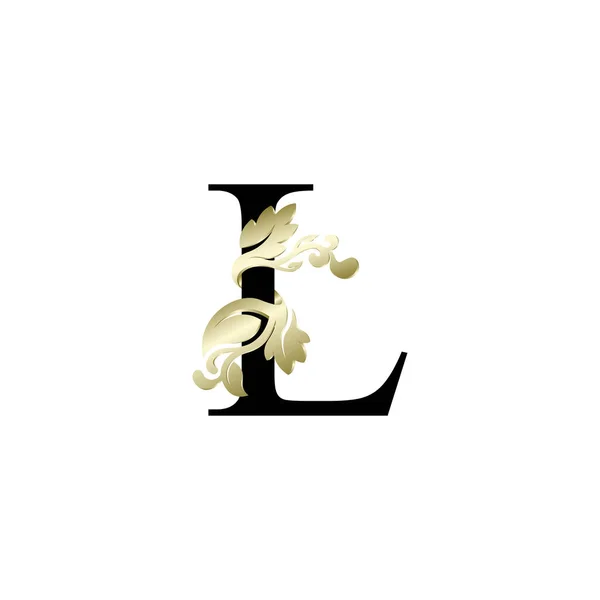 Lettre Initiale Luxe Chevauchement Ornement Couleur — Image vectorielle