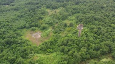 İnsansız hava aracı ormanda uçuyor.