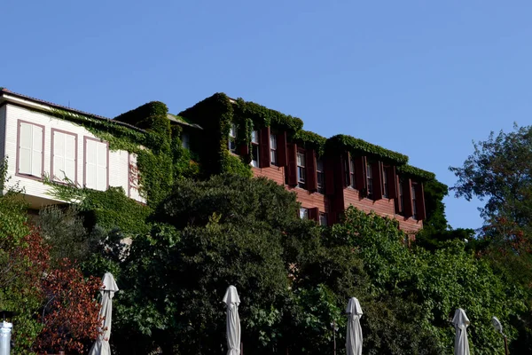 İstanbul sahilinde sarmaşıkla kaplı bir ev.