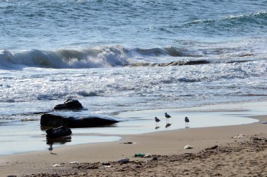 Kyky kular ve dalgalar