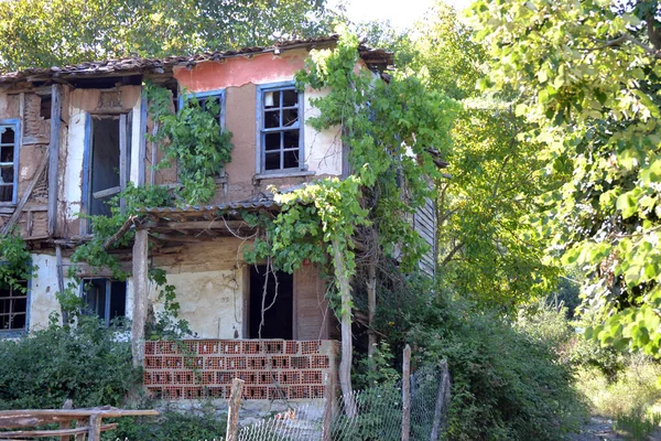 Ormanda terk edilmiş eski bir ev.